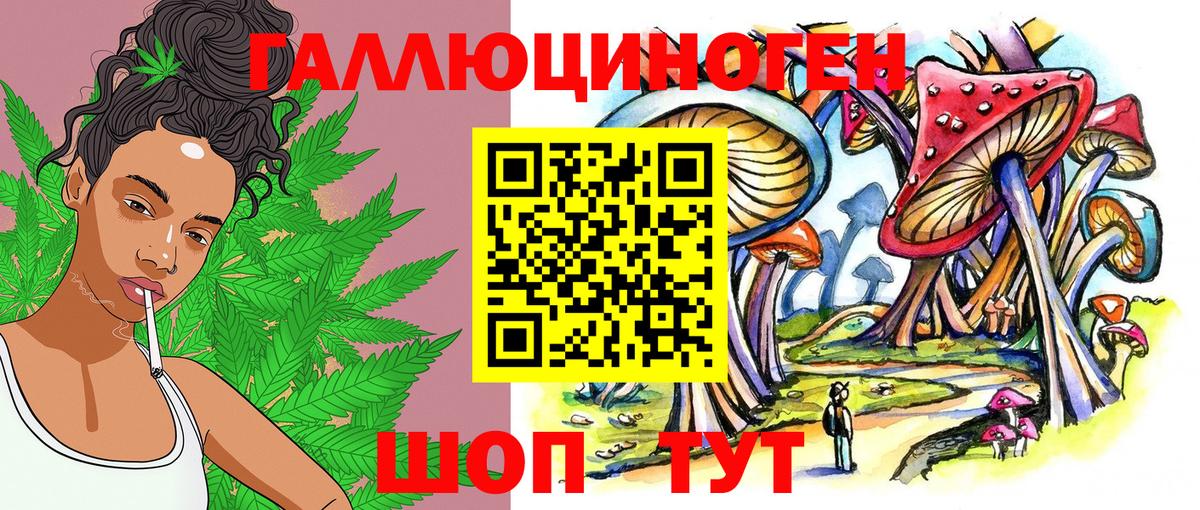 Псилоцибиновые грибы GOLDEN TEACHER  Псилоцибиновые грибы Magic Shrooms  купить наркоту  Вход с VPN  Карабулак 